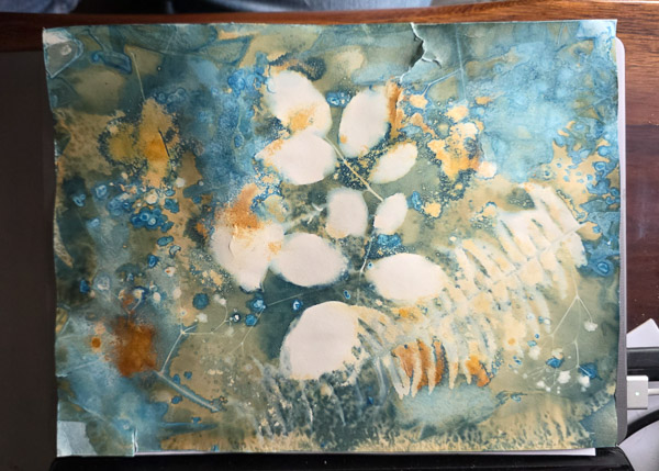 Cyanotypes
